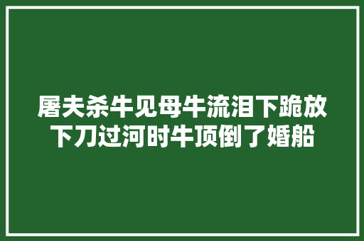 屠夫杀牛见母牛流泪下跪放下刀过河时牛顶倒了婚船