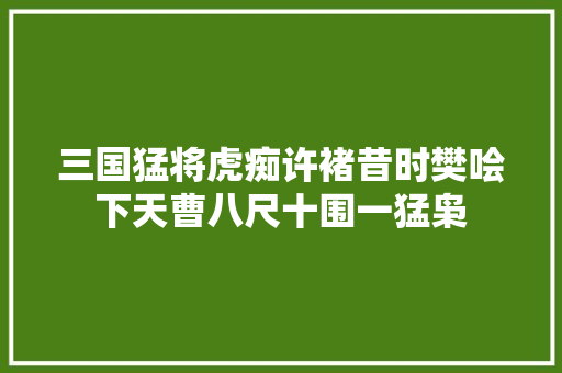 三国猛将虎痴许褚昔时樊哙下天曹八尺十围一猛枭