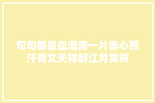 句句都是血泪滴一片赤心照汗青文天祥酹江月赏析