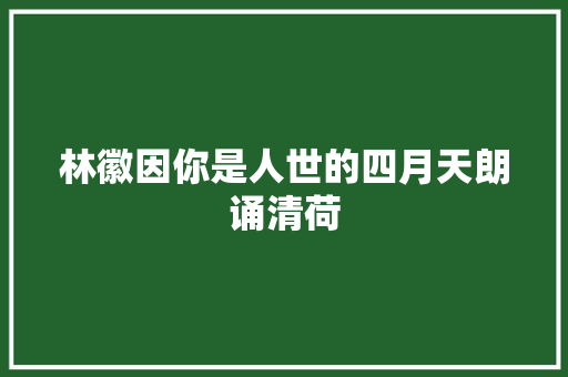 林徽因你是人世的四月天朗诵清荷