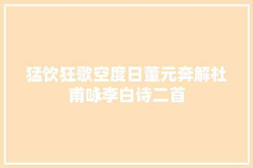 猛饮狂歌空度日董元奔解杜甫咏李白诗二首