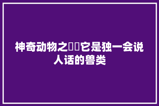 神奇动物之狌狌它是独一会说人话的兽类