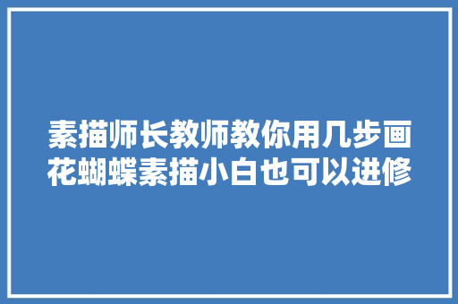 素描师长教师教你用几步画花蝴蝶素描小白也可以进修的哦