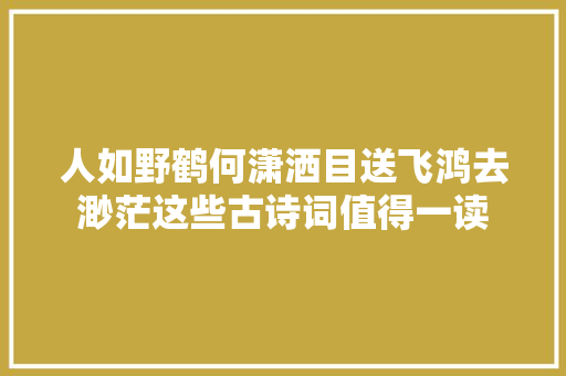 人如野鹤何潇洒目送飞鸿去渺茫这些古诗词值得一读