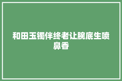 和田玉镯伴终老让腕底生喷鼻香