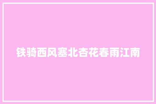 铁骑西风塞北杏花春雨江南