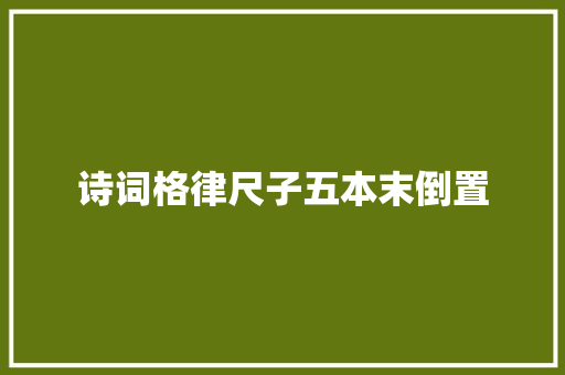 诗词格律尺子五本末倒置