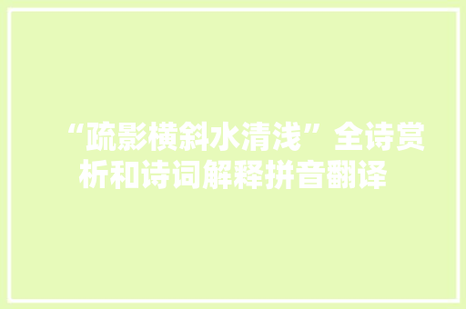 “疏影横斜水清浅”全诗赏析和诗词解释拼音翻译
