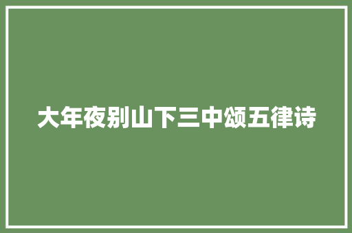 大年夜别山下三中颂五律诗
