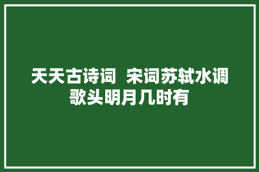 天天古诗词  宋词苏轼水调歌头明月几时有