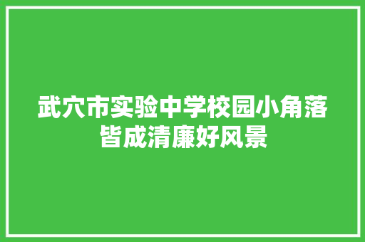 武穴市实验中学校园小角落皆成清廉好风景