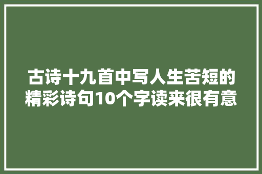 古诗十九首中写人生苦短的精彩诗句10个字读来很有意蕴之美