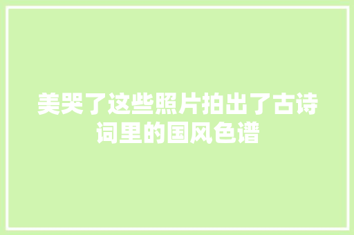 美哭了这些照片拍出了古诗词里的国风色谱