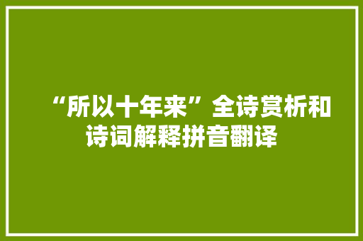 “所以十年来”全诗赏析和诗词解释拼音翻译