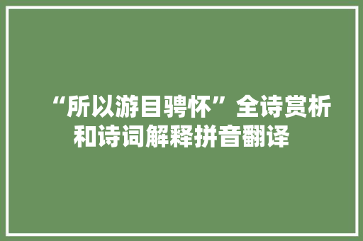 “所以游目骋怀”全诗赏析和诗词解释拼音翻译