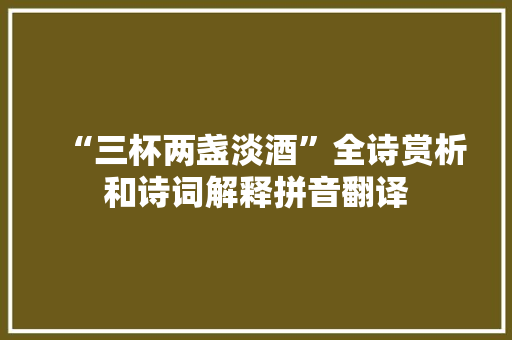 “三杯两盏淡酒”全诗赏析和诗词解释拼音翻译
