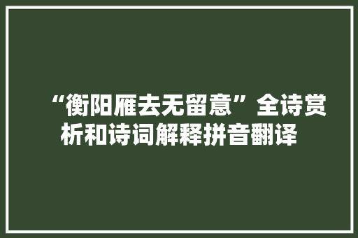 “衡阳雁去无留意”全诗赏析和诗词解释拼音翻译