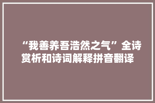 “我善养吾浩然之气”全诗赏析和诗词解释拼音翻译