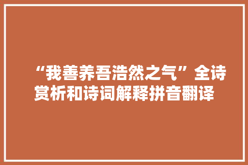 “我善养吾浩然之气”全诗赏析和诗词解释拼音翻译
