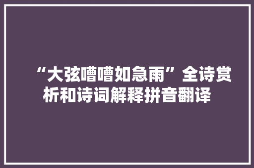 “大弦嘈嘈如急雨”全诗赏析和诗词解释拼音翻译