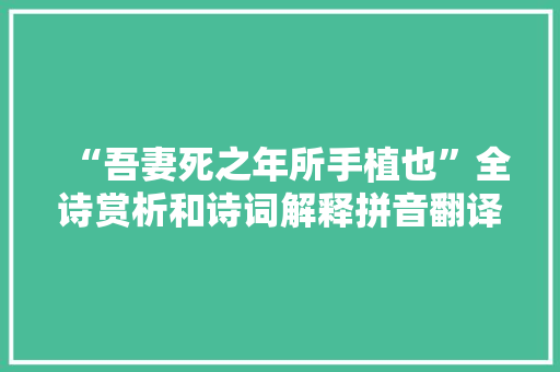 “吾妻死之年所手植也”全诗赏析和诗词解释拼音翻译