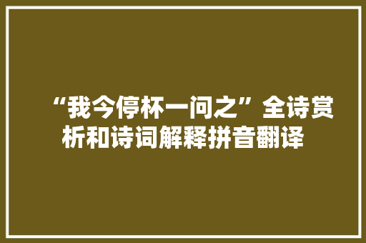 “我今停杯一问之”全诗赏析和诗词解释拼音翻译