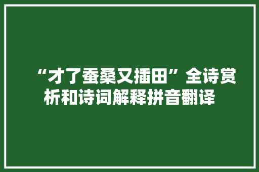 “才了蚕桑又插田”全诗赏析和诗词解释拼音翻译