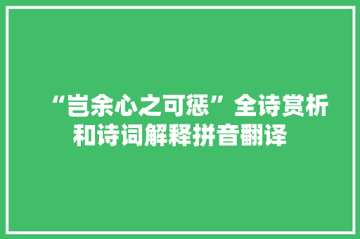 “岂余心之可惩”全诗赏析和诗词解释拼音翻译
