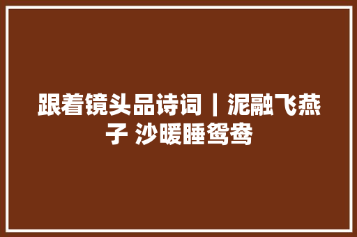 跟着镜头品诗词｜泥融飞燕子 沙暖睡鸳鸯