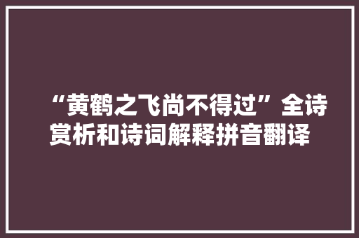 “黄鹤之飞尚不得过”全诗赏析和诗词解释拼音翻译