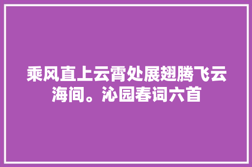 乘风直上云霄处展翅腾飞云海间。沁园春词六首
