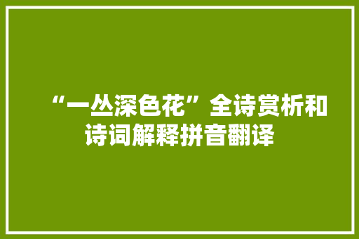 “一丛深色花”全诗赏析和诗词解释拼音翻译