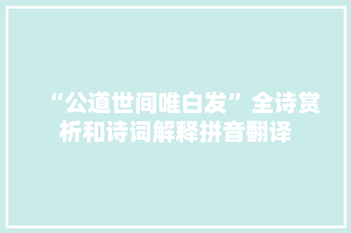 “公道世间唯白发”全诗赏析和诗词解释拼音翻译