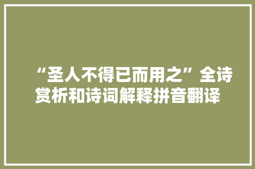 “圣人不得已而用之”全诗赏析和诗词解释拼音翻译