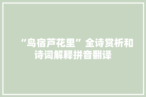 “鸟宿芦花里”全诗赏析和诗词解释拼音翻译