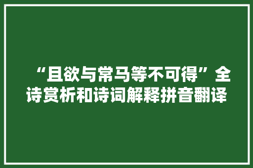 “且欲与常马等不可得”全诗赏析和诗词解释拼音翻译