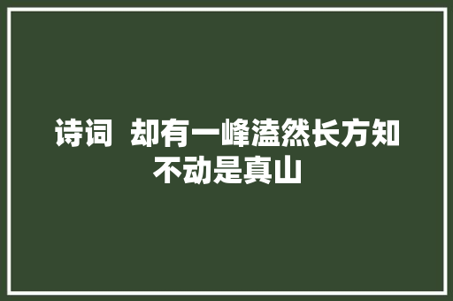 诗词  却有一峰溘然长方知不动是真山