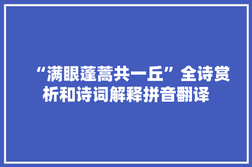 “满眼蓬蒿共一丘”全诗赏析和诗词解释拼音翻译