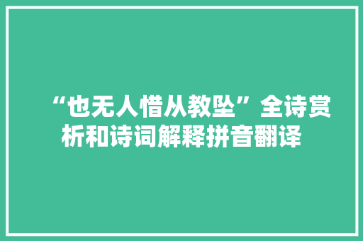 “也无人惜从教坠”全诗赏析和诗词解释拼音翻译