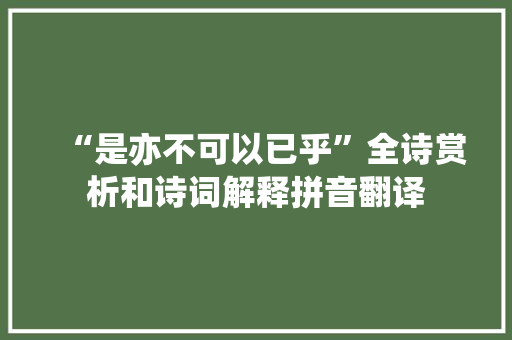 “是亦不可以已乎”全诗赏析和诗词解释拼音翻译