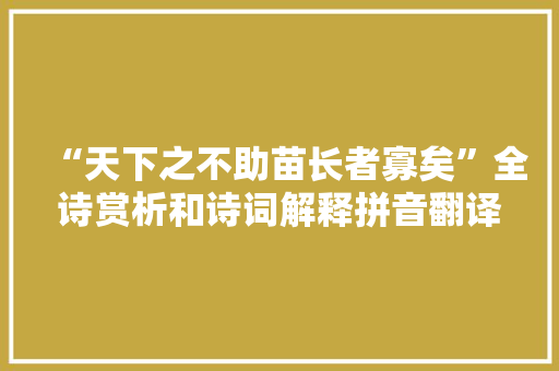 “天下之不助苗长者寡矣”全诗赏析和诗词解释拼音翻译