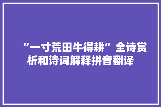 “一寸荒田牛得耕”全诗赏析和诗词解释拼音翻译