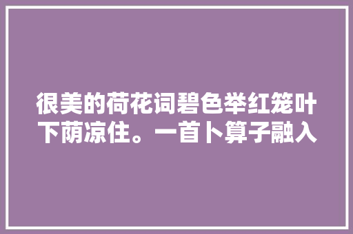 很美的荷花词碧色举红笼叶下荫凉住。一首卜算子融入清凉世界