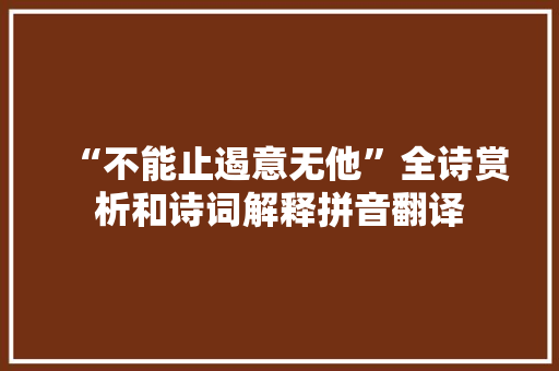“不能止遏意无他”全诗赏析和诗词解释拼音翻译