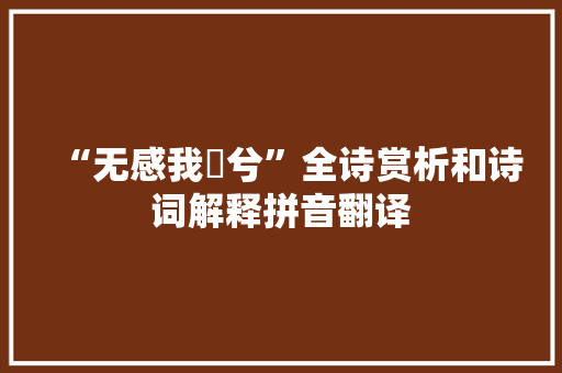 “无感我帨兮”全诗赏析和诗词解释拼音翻译