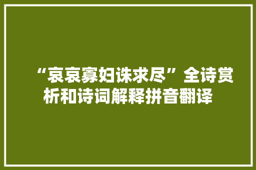 “哀哀寡妇诛求尽”全诗赏析和诗词解释拼音翻译