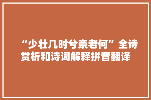 “少壮几时兮奈老何”全诗赏析和诗词解释拼音翻译