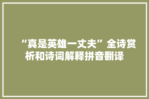 “真是英雄一丈夫”全诗赏析和诗词解释拼音翻译