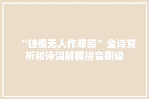 “独恨无人作郑笺”全诗赏析和诗词解释拼音翻译