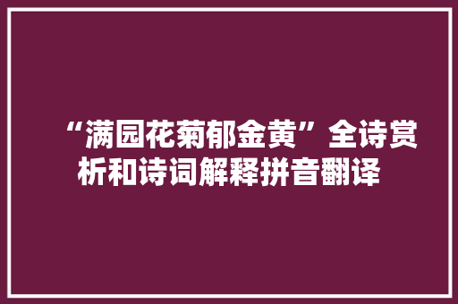 “满园花菊郁金黄”全诗赏析和诗词解释拼音翻译